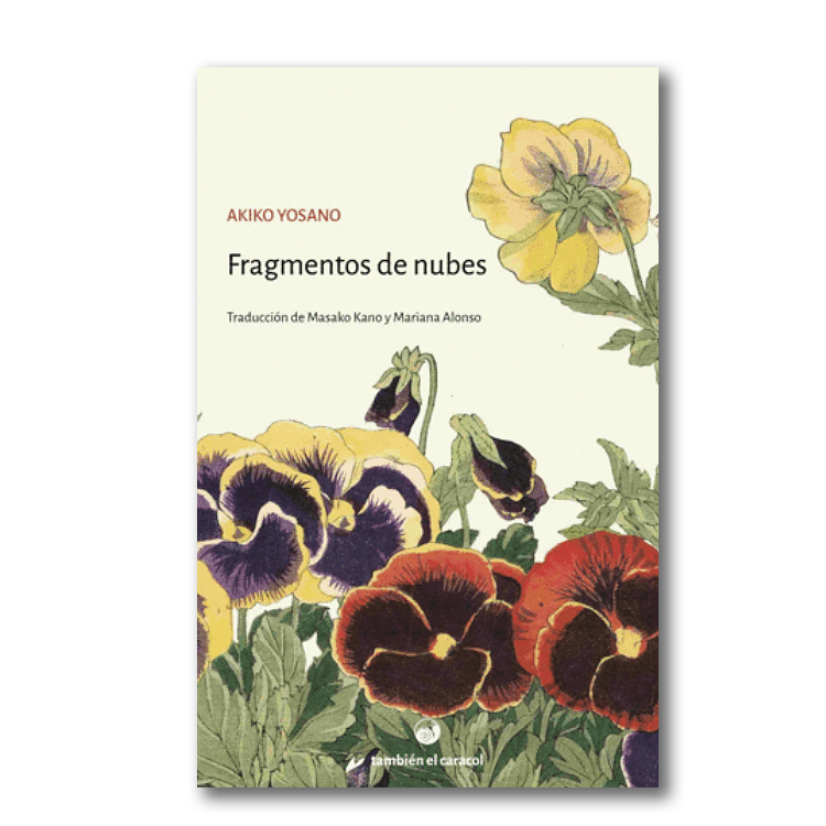 Fragmentos de nubes
