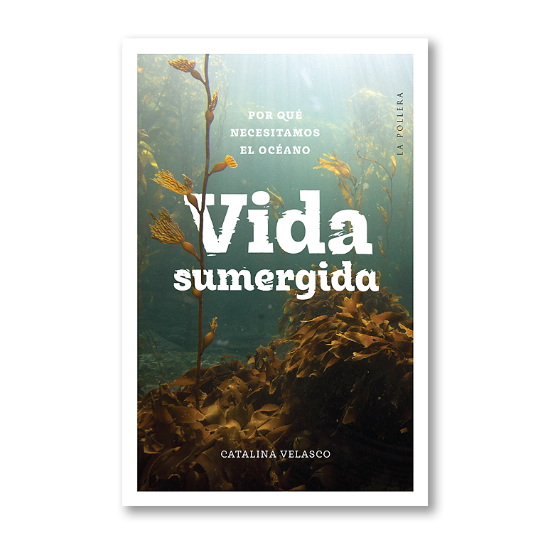 Vida sumergida