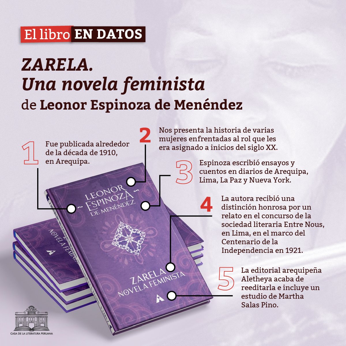 Zarela. Novela feminista