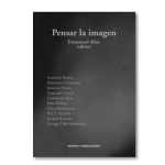 Pensar la imagen