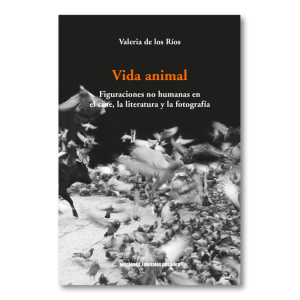 Vida animal. Figuraciones no humanas en el cine, la literatura y la fotografía