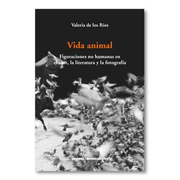 Vida animal. Figuraciones no humanas en el cine, la literatura y la fotografía