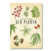 Ser planta. Herbario poético urbano