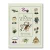 La cazadora de libros