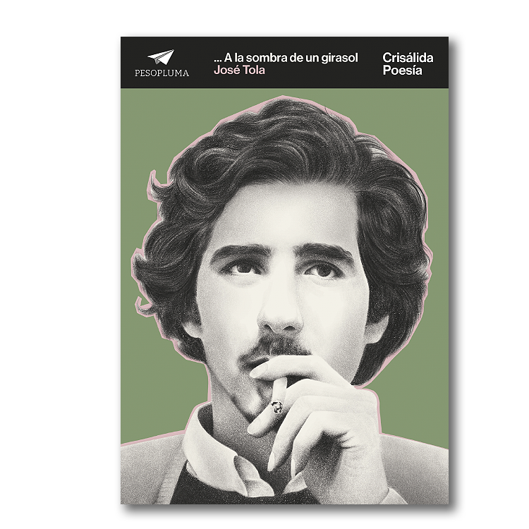 … A la sombra de un girasol